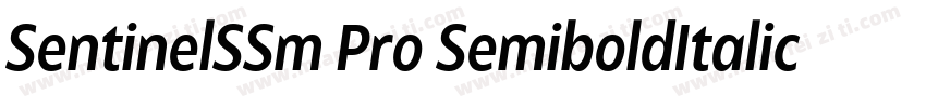 SentinelSSm Pro SemiboldItalic字体转换